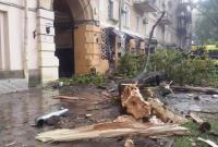 В Украине непогода обесточила почти 300 населенных пунктов