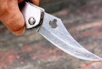 Ученик на Прикарпатье напал с ножом на учительницу во время урока