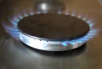 Эксперты рассказали, сколько будет стоить газ в 2017-м