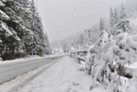 В Румынии выпало полметра снега, объявлен желтый уровень опасности