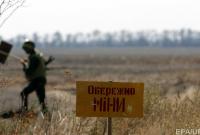 В Луганской области подорвались двое грибников, которые зашли на заминированный участок