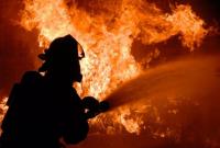 С начала года на пожарах в Украине погибли более 1100 человек