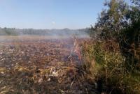 С начала года в Украине возникло более 15 тысяч пожаров в экосистемах