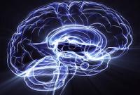 Ученые приблизились к разгадке человеческого мозга