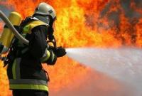 Во время пожара на Прикарпатье погиб двухлетний ребенок