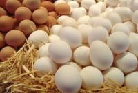 Производство яиц в Украине за 8 месяцев сократилось на 11,6%