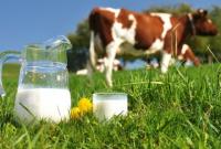 Производство молока за 8 месяцев снизилось на 2%