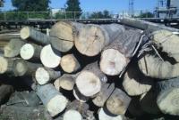 На Волыни СБУ предотвратила незаконный экспорт древесины