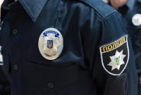 В Винницкой области полиция вернула домой школьницу, которая сбежала из дома