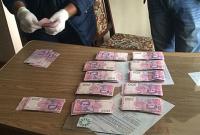Лесничего в Черновицкой области поймали на взятке 50 тысяч гривен