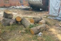 СБУ в Житомирской области прекратила незаконное производство древесного угля