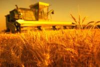 Минагропрод ожидает рекордного экспорта зерна - более 40 миллионов тонн
