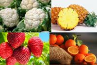 10 лучших пищевых источников витамина С