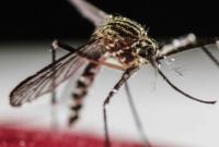 "В Україні немає комарів-переносників вірусу зіка", - МОЗ