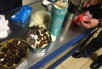 В Одесском аэропорту собака пограничников нашла кокаин в конфетах