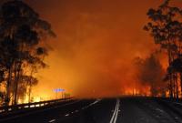 В Австралии жители покидают дома из-за лесных пожаров