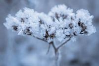 В Украине усиливаются морозы - прогноз погоды на ближайшие дни