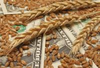 Аграрный фонд заключил контракты на приобретение 48 тыс. тонн зерна
