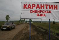В РФ из-за сибирской язвы в больнице оказались 90 человек