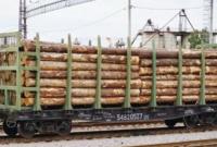 Суд конфисковал в пользу государства еще один вагон леса, задержанный в Закарпатской области