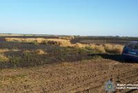 Почти 20 га зерновых сгорело в Ровенской области