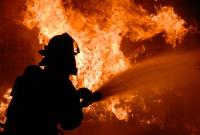 В Украине с начала года на пожарах погибли около тысячи человек