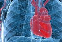 Ученые рассказали о методах восстановления сердца после инфаркта