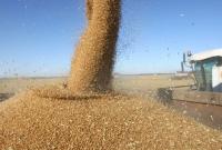Украина за семь месяцев экспортировала пшеницы более чем 1,1 млрд. долл.