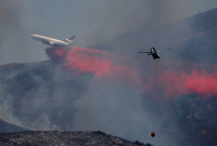 В Калифорнии бушуют лесные пожары: сгорели почти 200 домов, есть пострадавшие (видео)