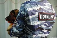 В Подмосковье вооруженные топорами чеченцы напали на полицейских - СМИ