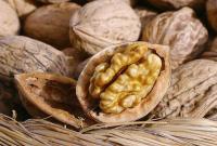 Грецкие орехи предупредят развитие рака
