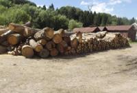 При обыске в одном из лесхозов Закарпатья прокуратура изъяла почти 100 кубометров леса