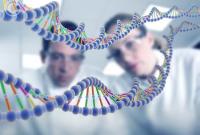 Ученые описали методику восстановления черт лица по ДНК