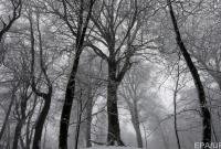 Погода в Украине на субботу: похолодание и снег