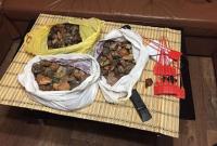 Более 10 кг янтаря изъяли в Житомирской области