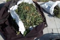 Группе лиц в Полтавской области объявили подозрение в сбыте наркотиков