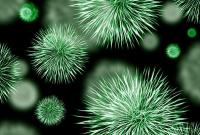 Шотландские ученые назвали вирусы, способные вызвать пандемию