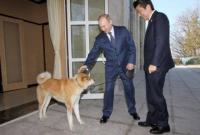 Москва отказалась принять в подарок от Токио собаку для В.Путина
