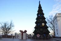 В центре Одессы установили большую новогоднюю елку