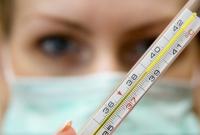 В Украине от гриппа умерло 5 человек