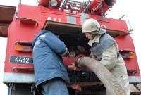 В Сумской области в результате пожара погибли два человека