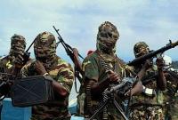 Нигерийская армия вытеснила "Боко Харам" из одного из последних оплотов