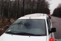 Дерево упало на автомобиль с тремя людьми в Ровенской области