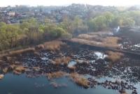 В сети появилось видео с последствиями пожара на Совских прудах в Киеве