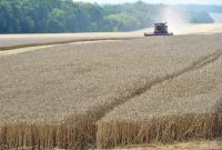 Госстат сообщает о снижении сельхозпроизводства