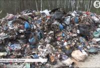 В Житомирской области обнаружили 20 тонн львовского мусора, который "не доехал" на Киевщину
