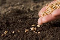 Аграрии засеяли яровыми зерновыми 2,6 млн га