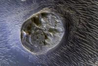 NASA показало новое фото лабиринта Ночи на Марсе