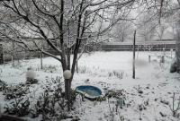 Аномальный снегопад накрыл Молдову