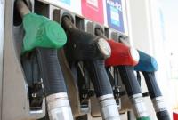 Госстат: Цены на бензин и дизтопливо в Украине за 10 дней выросли на 1,3%